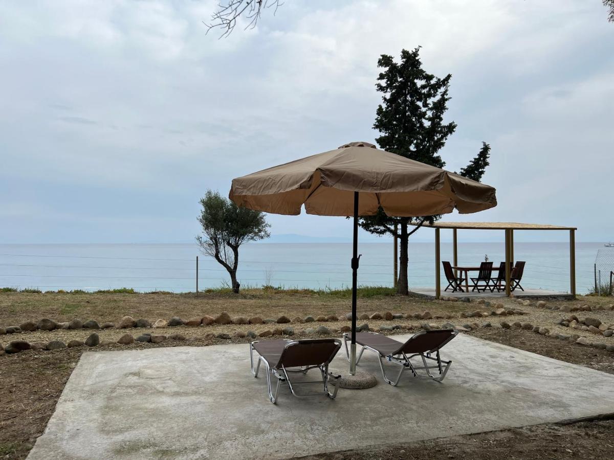 Ihouse نيا سكيوني المظهر الخارجي الصورة