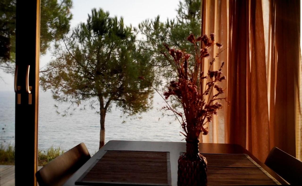 Ihouse نيا سكيوني المظهر الخارجي الصورة