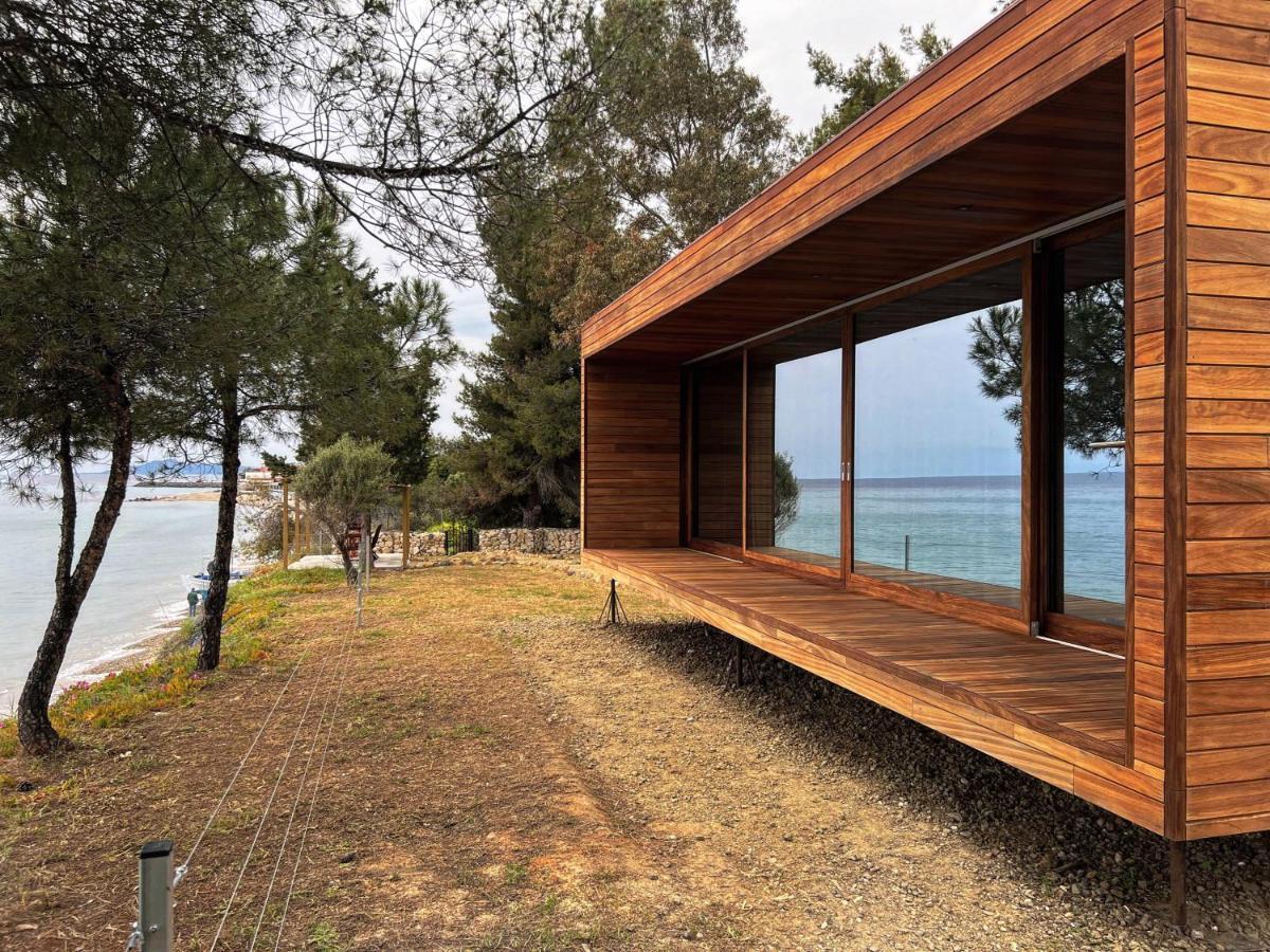 Ihouse نيا سكيوني المظهر الخارجي الصورة