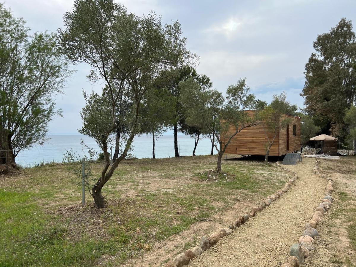 Ihouse نيا سكيوني المظهر الخارجي الصورة