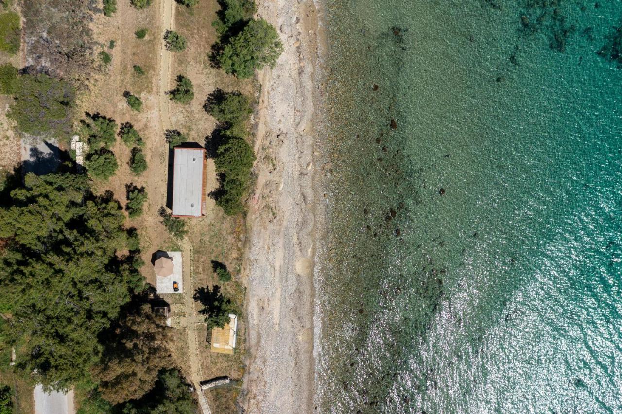 Ihouse نيا سكيوني المظهر الخارجي الصورة